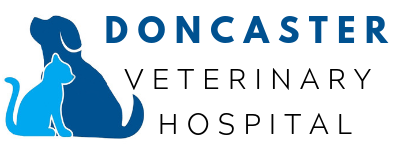 Doncaster logo 2020 (1)